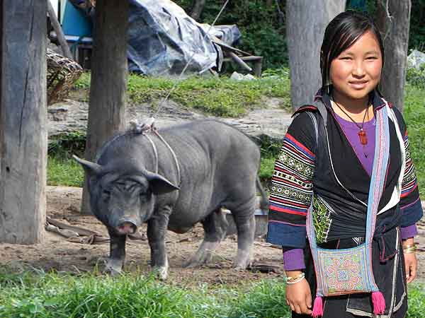 �Ҿ �ع���