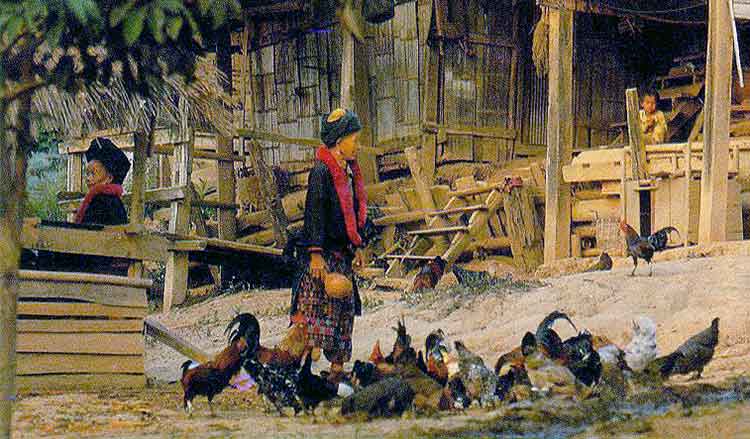 �Ҿ �Ӥ���