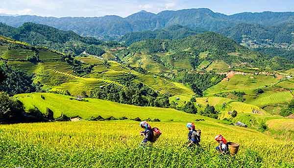 �Ҿ ����� 