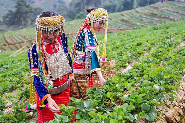 �Ҿ ����� 