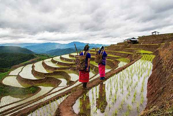 �Ҿ ����� 