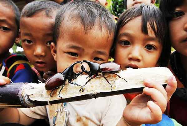 �Ҿ �����ҧ