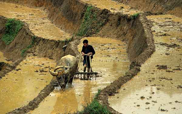 �Ҿ ����� 