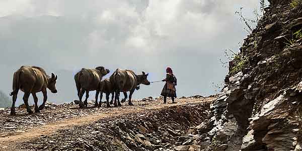 �Ҿ ��������