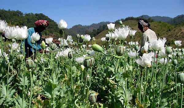 �Ҿ �����