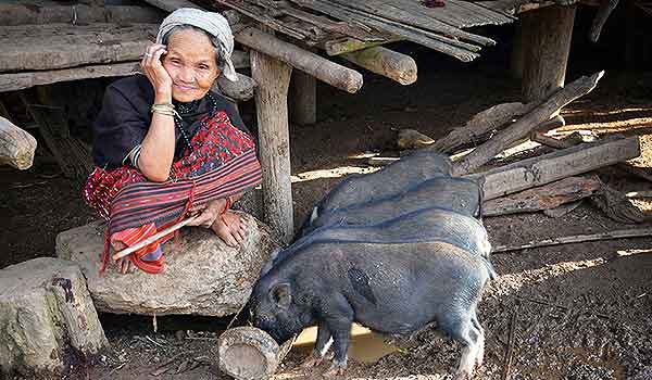 �Ҿ ����§���